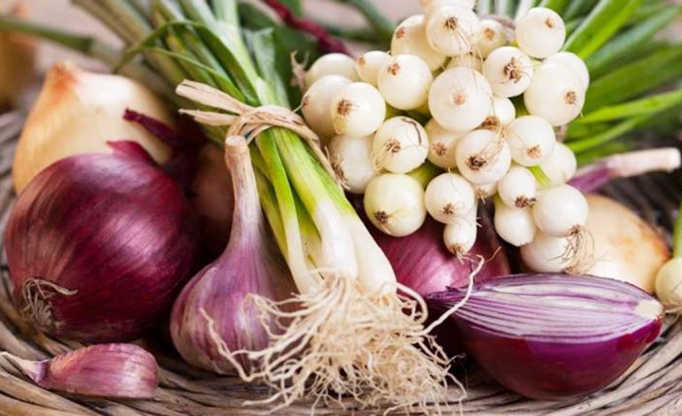 QEPË, UTHULL MOLLE DHE HURDHRA/ Si të përgatisni antibiotikun natyral