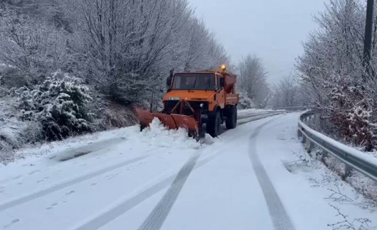 VIJON BORA ME INTESITET TË LARTË NË PARKUN E SHEBENIKUT/ Paralajmërohen bllokim rrugësh