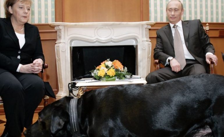 “ANGELA, MË FAL”/ Putin i kërkon falje Merkelit për takimin e 2007-ës: Nuk e dija që kishte frikë nga qentë