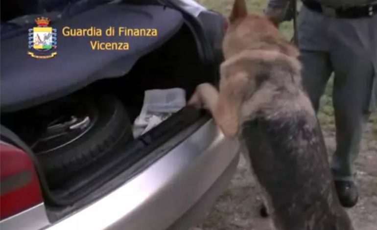 TRAFIK DROGE NGA KOLUMBIA E SPANJA/ 15 të arrestuar në Itali. Mes tyre 8 shqiptarë