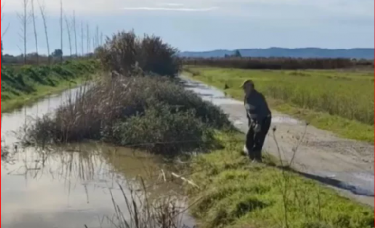 PËRMBYTET TOKA NGA RESHJET E SHIUT NË DIVJAKË/ Dëmtohen të mbjellat dhe ura lidhëse mes fshatrave