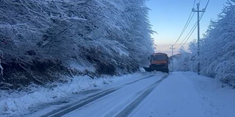 RIKTHEHET DËBORA NË JUGLINDJE TË VENDIT/ 150 familje mbeten pa energji elektrike