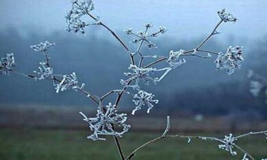 PARASHIKIMI I MOTIT/ Temperaturat deri në -1 gradë Celsius, ja zonat ku do të ketë reshje shiu