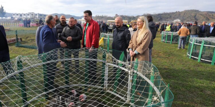 TREGU I GJELAVE TË DETIT NË BALDUSHK/ Apeli i Veliajt: Blini produktet lokale për të ndihmuar familjet e zonës