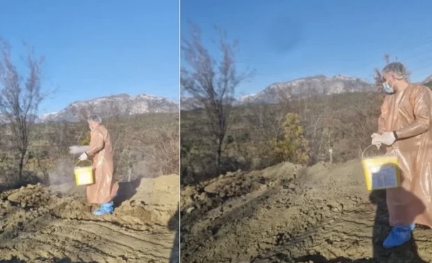 GRIPI I SHPENDËVE ZGJERON HARTËN/ Zbulohet një vatër e re në Tiranë, merren masa për çrrënjosjen e infeksionit