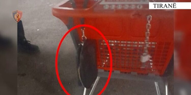 PAMJET/ Qytetarit në Tiranë i humbin 27 mijë euro, ia kthen policia