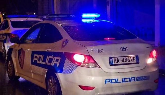 POLICIA AKSION NË POGRADEC/ Përfundon në pranga 65-vjeçari, sekuestrohen armë dhe municione