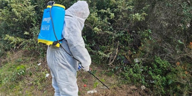 GRIPI I SHPENDËVE/ Grupet e punës në terren, dezinfektohet Laguna e Karavastasë