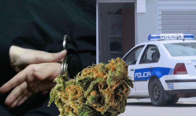 POLICIA AKSION NË TIRANË/ Shpërndanin kanabis në kryeqytet, 3 të arrestuar, droga u gjet në…