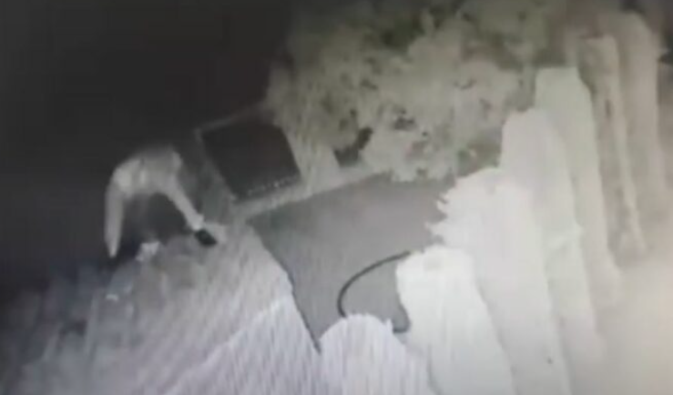 ÇMONTOHET BANDA E “SKIFTERËVE” SHQIPTARË NË SPANJË/ Si u zbuluan dy krerët e grupit në Paris