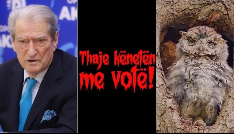 “O SALI, O HERO…”/ Rama vijon me postimet për Bufin: Thaje kënetën me votë