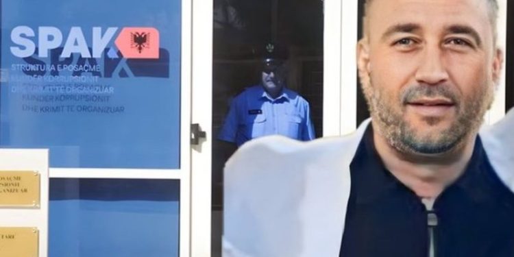 PËLLUMB GJOKA SËRISH NË KUSHTETUESE/ Biznesmeni kërkon shfuqizimin e sekuestros së 390 mijë metra katrorë tokë