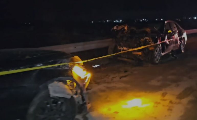 AKSIDENT TRAGJIK NË FIER/ U ndërprenë rrugën bagëtitë, dy mjete përplasen me njëra-tjetrën, ndërron jetë çobani