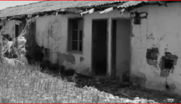 DOSSIER/ Dëshmia e trishtë, e të birit të bajraktarit të Mërturit: Baba, me vëllanë, Zefin, të rrethuar nga Forcat e Ndjekjes në bjeshkët e Nikaj, hanin lënde lisi…