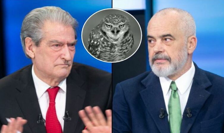 “BUFI I KËNETËS, SPECIE ARMIQËSORE…”/ Rama “thumbon” Berishën: Trupi i tij grumbullon pesticidet, bëhet edhe vetë helmues
