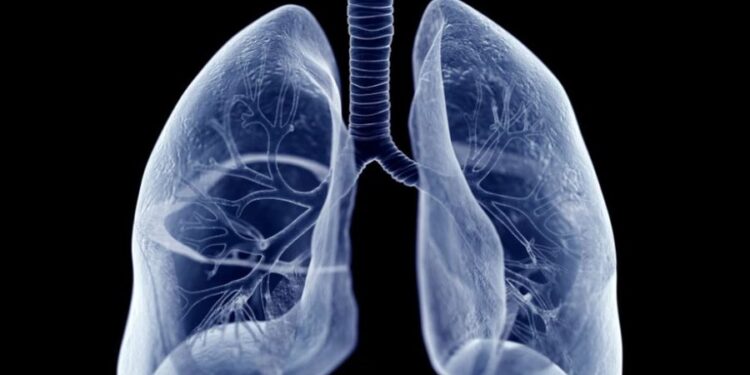MUSHKËRINJTË NDIKOJNË NË PRODHIMIN E GJAKUT/ Zbulimi ri: I rëndësishëm për transplantet