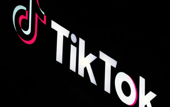 MBYLLJA E TIKTOK/ Asociacioni i Gazetarëve: Hap ekstrem, po e afron vendin me regjime autoritare që kufizojnë lirinë e fjalës…