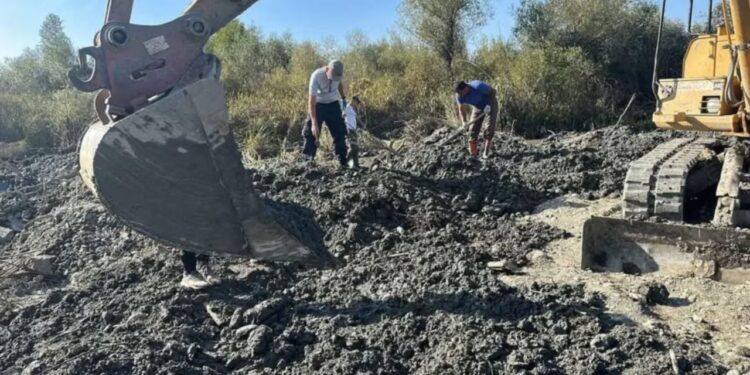 GJENOCIDI SERB NË KOSOVË/ Gjenden eshtrat e 11 personave në një varrezë masive në Gjakovë