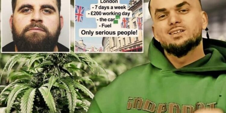 SHQIPTARËT NË ANGLI HAPIN NË TIKTOK QENDËR PUNËSIMI/ The Sun: Rekrutojnë shitës dhe transportues droge