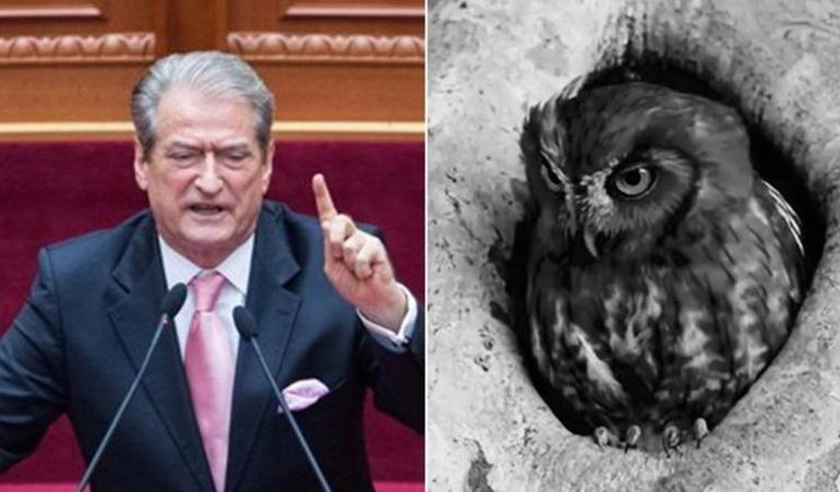 “MË SULMOI SI ARMIK NË MËNYRË TË PANDERSHME”/ Rama ironizon përsëri Berishën me bufin e kënetës