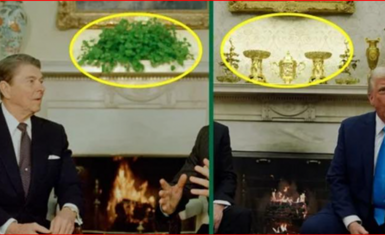 SIMBOL I ZYRËS OVALE/ Trump ‘nuk kursen’ as bimën e famshme ‘Swedish ivy’, e heq nga ‘Shtëpia e Bardhë