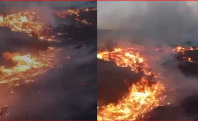 PAMJET/ Zjarr në malin e Moravës, shërbimi zjarrfikës dhe banorët e zonës në luftë me flakët