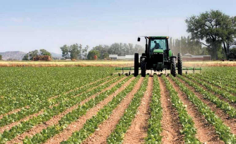 SKEMBA KOMBËTARE/ 7.200 aplikime në 24 orët e para, risi subvencionet dhe nafta për bujqësinë