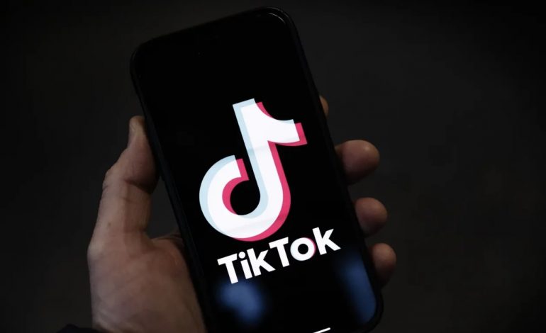 TIK-TOK SËRISH NËN AKUZË/ Platforma përfiton ekonomikisht nga transmetimet “live” të fëmijëve që lypin
