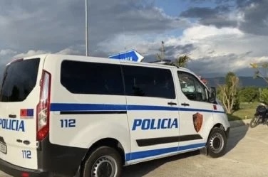 PLAGOSEN ME THIKË DY TË MITUR NË MALIQ/ Zbardhet dëshmia e nënës së autorit: Erdhi nga shkolla….
