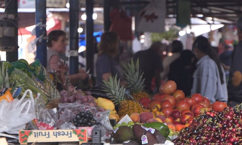 ÇMIMET E LARTA TË FRUTAVE NË ELBASAN/ Prodhimet vendase shkojnë për eksport