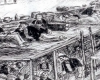 DOSSIER/ “Baballarë të arratisur, fëmijë që nuk i njohën kurrë prindërit, familje të ndara…” Historitë e panjohura të diktaturës