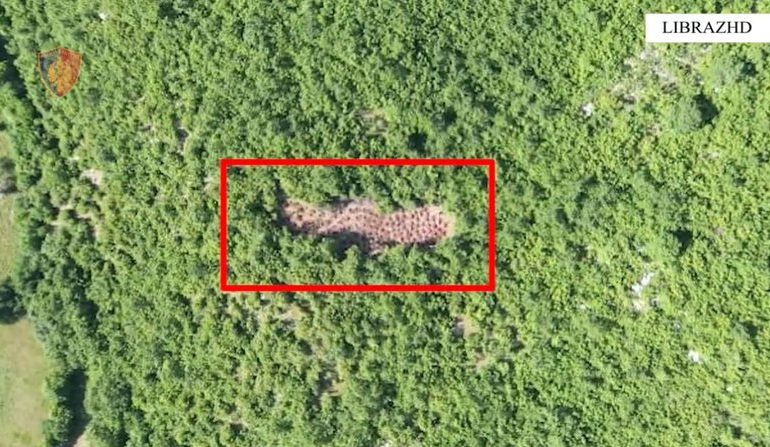 I NDODH AJO QË NUK E PRISTE/ Dronët e policisë nxjerrin zbuluar të riun në Librazhd, e kapën me…