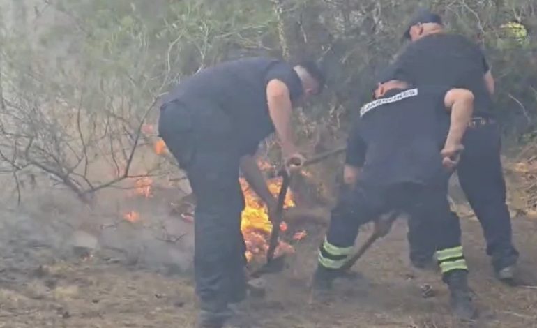 ZJARR NË PYLLIN E DARËZEZËS/ Pas disa orësh përpjekje neutralizohen flakët