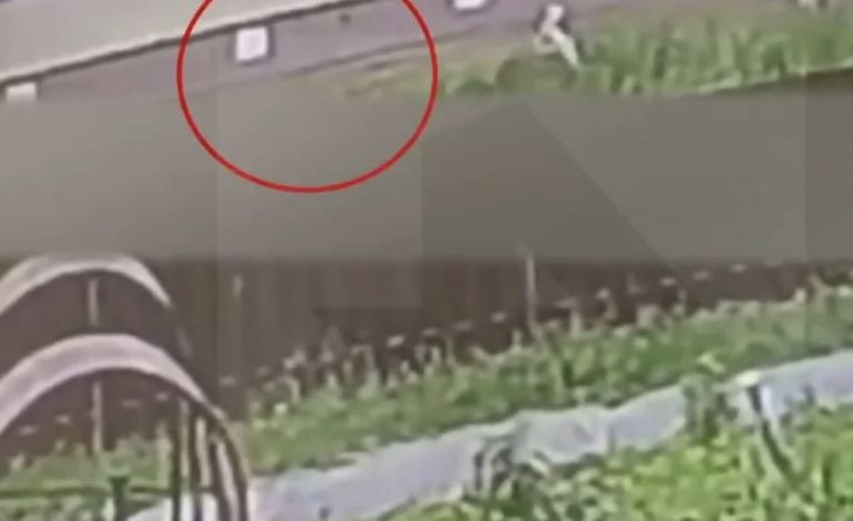 NDODH MREKULLIA/ Foshnja shpëton pasi e hedhin nga dritarja e ndërtesës