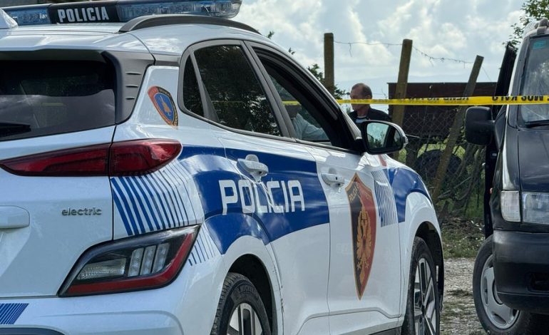 PLAGOSJA E 31-VJEÇARIT/ Zbardhet motivi i konfliktit mes komshinjve në Allias