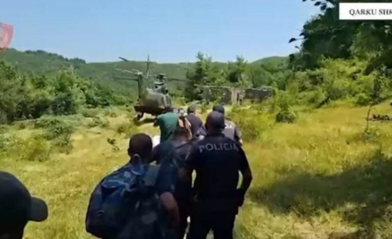 PAMJET/ Kontrolle me helikopter dhe dron, policia gjen mbi 19 mijë bimë kanabisi në Shkodër