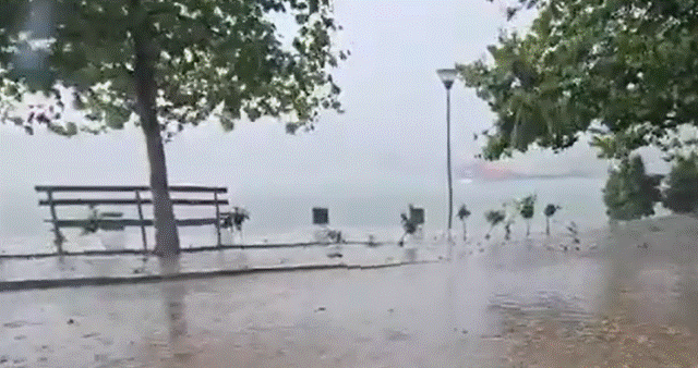 MOTI I KEQ/ Reshje të dendura shiu në Belsh e Dumre, uji mbulon rrugët