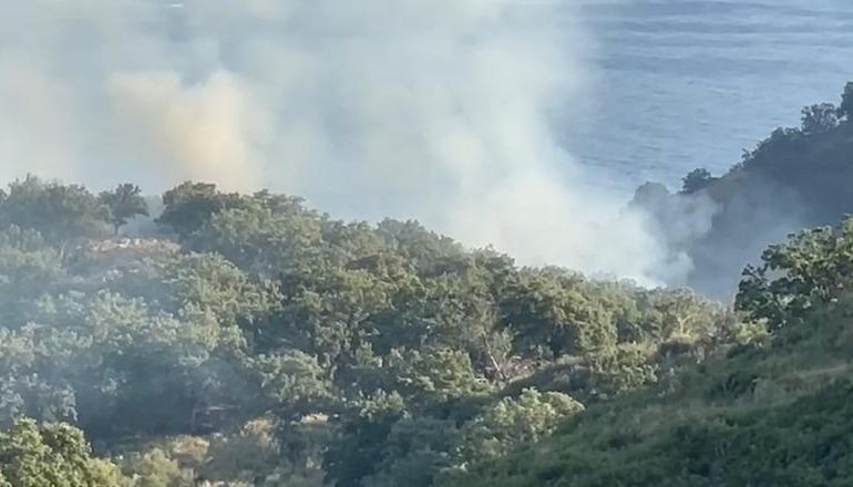 ZJARR NË PILUR TË HIMARËS/ Flakët pranë ullishteve! Zjarrfikësit në terren, pritet ndërhyrje nga ajri