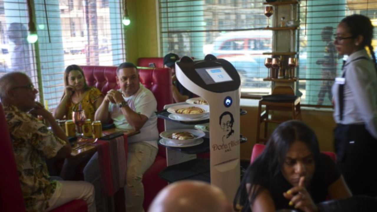VIDEOLAJM/ Risia në jug të Shqipërisë, një robot në vend të kamerierit