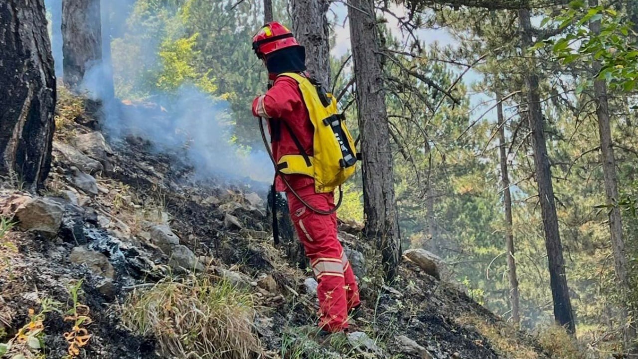 SITUATA E ZJARREVE NË VEND/ 14 vatra ditën e sotme, ja sa kanë mbetur aktive