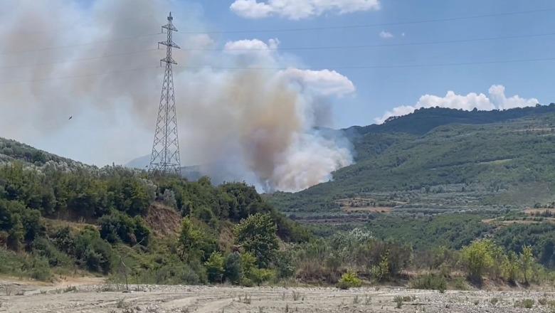 ZJARR NË FSHATIN MBRAKULL/ Shkrumbohet një sipërfaqe me pisha, zjarrfikësit vënë në kontroll flakët