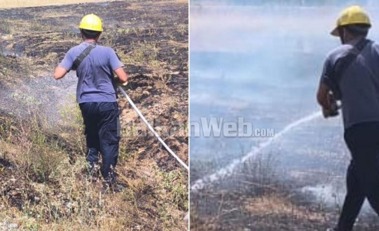 ZJARR NË KARDHIQ/ Digjen 3 dynym me bimësi të thatë – shmanget përhapja drejt banesave