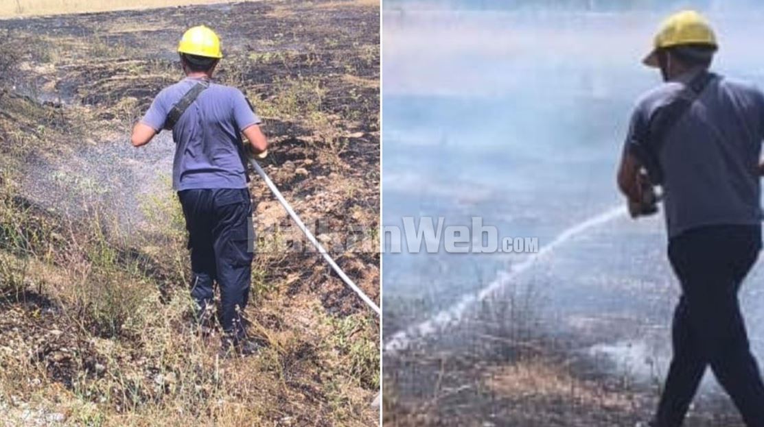 ZJARR NË KARDHIQ/ Digjen 3 dynym me bimësi të thatë – shmanget përhapja drejt banesave