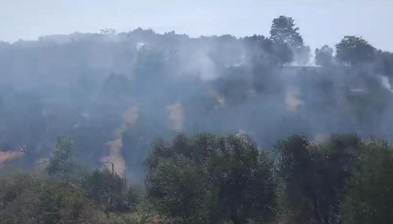 ZJARR NË BELSH/ Shkrumbohen 15 hektarë me ullishta, vreshtari dhe bimësi në Njësinë e Fierzës