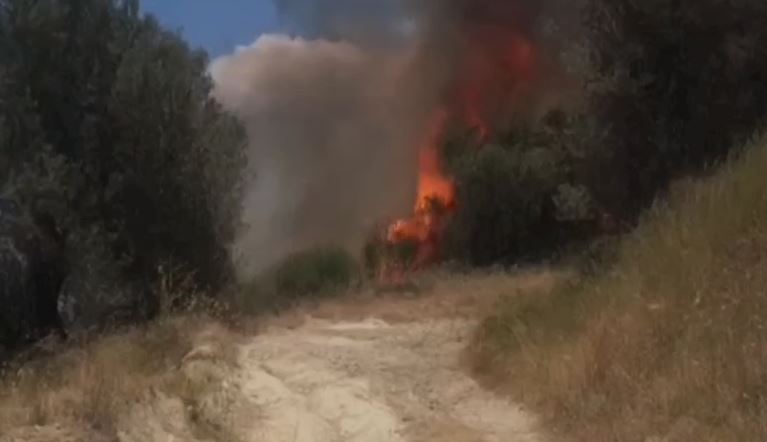 DETAJET E PARA/ Zjarr në fshatin Malas Gropë në Dimal, shkrumbohen hektarët me ullinj