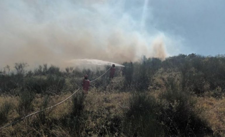 SITUATA E ZJARREVE/ 5 vatra janë ende aktive! Ja zonat më problematike