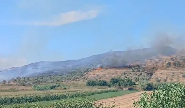 ZJARR I MADH NË KODRAT E PEQINIT DHE RROGOZHINËS/ Ndërhyhet nga ajri me dy helikopterë për fikjen e flakëve