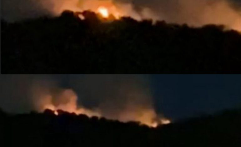 FLAKË DHE TYM/ Përfshihet nga zjarri Kodra e Selitës në Tiranë (PAMJET)