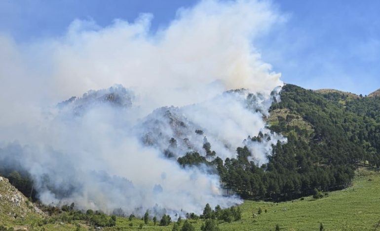 ALARM NË DUKAT/ Zjarri rrezikon Parkun Kombëtar të Llogarasë! Flakët po përparojnë drejt majës së malit