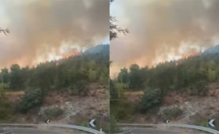 ZJARR NË SHKOPET/ Digjen dy banesa! Banorët përballen të vetëm me flakët